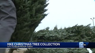 Milwaukee Christmas tree collection starts Tuesday [upl. by Rebah]