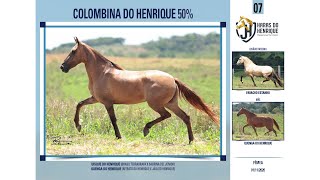 07 Colombina do Henrique 50 [upl. by Bryner]