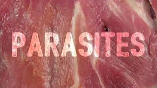 Parasites by Ugly Casanova Lyrics [upl. by Fries296]