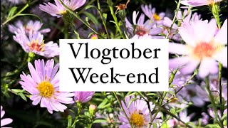 Vlogtober weekend  456 vlogtober vlogtober2024 [upl. by Ole442]