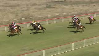 Cootamundra 18 05 2024 Race 2 [upl. by Aerdnuahs]