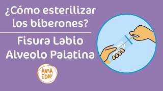 ¿Cómo esterilizar el biberón  Fisura Labio Palatina [upl. by Oremodlab]