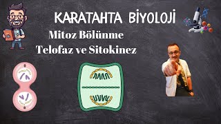 Mitoz Bölünme Telofaz ve Sitokinez [upl. by Eenitsed]