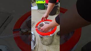 Vacuum casting chamber  unpacking and testing [upl. by Leumhs]