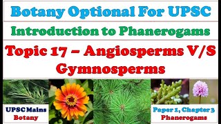 Angiosperms amp Gymnosperms –Difference Similarities Comparison Resemblance Affinities UPSC Mains [upl. by Hcirdeirf]