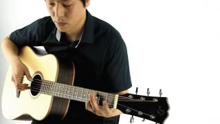 Dowina Acoustic Guitar D999S [upl. by Nimsay301]