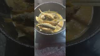 Macher recipe food cooking funny videoshortsvideo [upl. by Beckman]