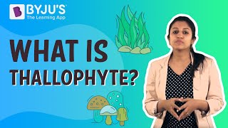 What is Thallophyte [upl. by Leirbma]