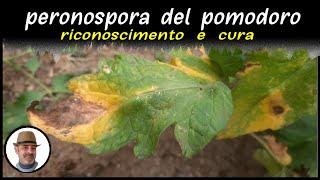 PERONOSPORA DEL POMODORO riconoscerla e curarla [upl. by Nats]