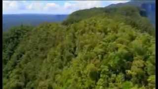 Expedition Borneo Episode 1 Documentary [upl. by Marjory]