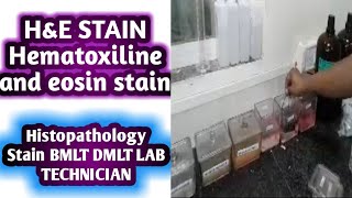 Hematoxylin and eosin stain  H and E stain  Histopathology stain [upl. by Ocko]