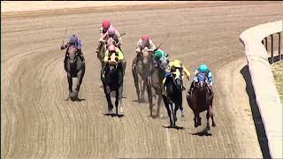 LAUREL PARK 07 07 2024 RACE 6 [upl. by Jennette550]