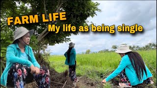 The Beauty of an Ordinary Life  Fertilizing Sugarcane PROVINCE LIFE Single LADY working the Farm [upl. by Enihpad]