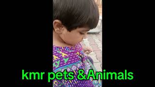 Muqaddas playing with Her Petspigeonpetsvlog youtubevlog pets kabutar murga [upl. by Richardo79]