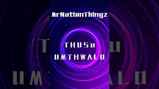 Thusu UmthwaloMrNationThingz [upl. by Snell484]