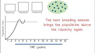 Overproduction of Offspring [upl. by Cleti]