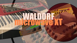 Waldorf microwave XT  The Tangerine Synth [upl. by Etezzil225]