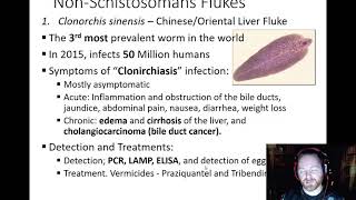 Platyhelminthes  Class Trematoda 2  Diseases [upl. by Eylloh]