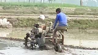 New Power Tiller Video Paddy Harvest 2024 at Farms in Indiana [upl. by Stilu]