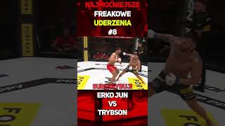 Najmocniejsze Freakowe Uderzenia 8  Erko Jun VS Trybson shorts erkojun trybson [upl. by Reggie15]