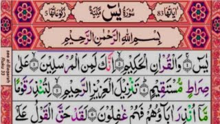 yaseen  surah yaseen best voice  surah yaseen ki tilawat  سورة يسsaday quran zikrullah tv [upl. by Naeroled]