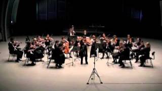 Telemann Viola Concerto 2nd movement [upl. by Ddat]