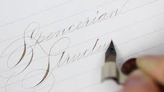 Beginner Spencerian Online Course Open for Registration at ConnieChencom [upl. by Airdnal]