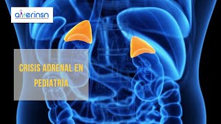 Crisis adrenal en pediatría  AMERINSN [upl. by Lleksah905]