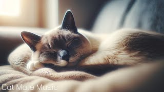 The cat soon calms down🐱Cats favorite music sleep music for cats stress relief music [upl. by Burnett]