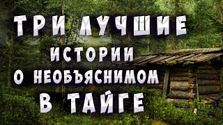 ТОП3 Лучших историй про необъяснимые случаи в тайге [upl. by Lothair]