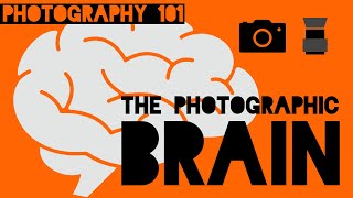 The photographic brain [upl. by Sadinoel]