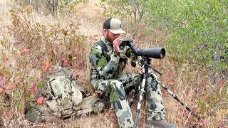 Zeiss Conquest Gavia 85 Spotting Scope Review by Elk Addicts HD [upl. by Brainard]