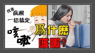 【爲什麽 咳嗽？】解析常見咳嗽的 原因，和呼吸道感染的引發因素 咳嗽 怎麽辦？经常 咳嗽 [upl. by Nawak776]