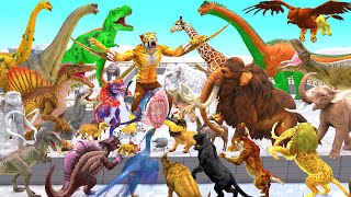 Dinosaurs vs Animals vs Saber Tooth Tiger Vs Mammoth Speed Race Zigzag Course Animal Revolt Battle [upl. by Beltran946]