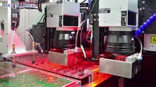 A Fully Automated System of PCBs Laser Depaneling Sorting and Stacking [upl. by Shelah738]