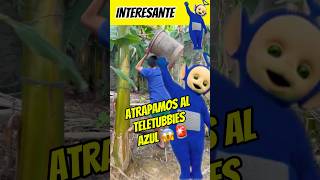 Atrapamos al teletubbies azul😱🚨interesante asombroso 😱😰 [upl. by Notnyw690]