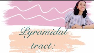 Descending Tracts  Corticospinal Tract  Pyramidal Tract [upl. by Grissom680]