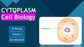 Cytoplasm Class 9 [upl. by Cran]