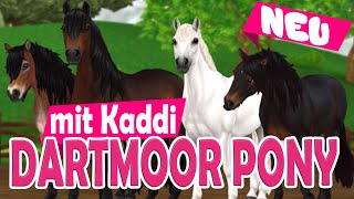 DARTMOOR PONY 🐴 NEUE RASSE 🐴 PFERDEKAUF 🐴 Star Stable Online [upl. by Emyle]