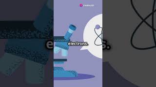 Electron Affinity Explained The Social [upl. by Yelra649]