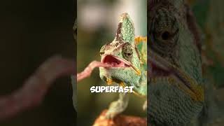 Chameleons The RealLife ColorChanging Superheroes 🦎✨ shorts daily [upl. by Furlani]