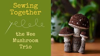 Sewing together the Base and Caps on the Wee Mushroom Trio knitting pattern [upl. by Chernow]