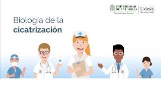 Biología de la cicatrización Parte 4 [upl. by Nirehs]