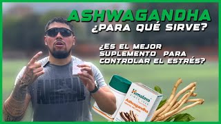 BENEFICIOS DEL ASHAWANDHA [upl. by Acisey48]