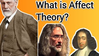 What is Affect Theory [upl. by Ahsitil]