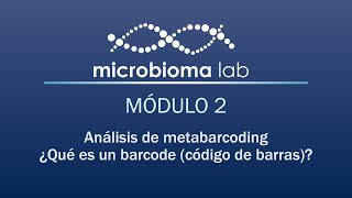 MODULO 231 ¿QUÉ ES UN BARCODE CÓDIGO DE BARRAS [upl. by Ainerbas]