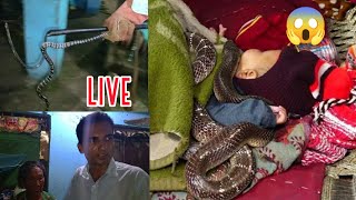 🐍राती घर भित्र भेटियो करेट सर्प Common krait snake rescue in Nepal [upl. by Nessa495]