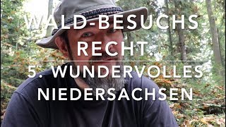 Niedersachsen  Waldbesuchsrecht nach Bundesländern 5 [upl. by Ellekim]