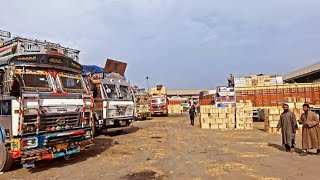 24 hours Unloading packing Apples close due to heavy Triffic Jam  asia scound largest apple mandi [upl. by Gish]