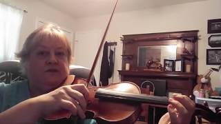 Violin  Introduction to Sevcik  How to Practice It [upl. by Gabriele526]